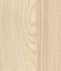 R38002 (R5028) Acacia R38002 (R5028) Acacia