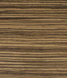 R5693_VV Zebrano medis