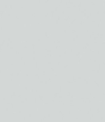 U12190 (U2101) Light Grey U12190 (U2101) Light Grey