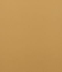 U246_47 Mango