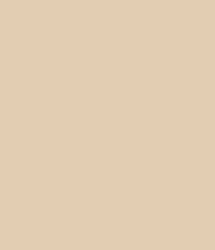 U156_A3_10DE_fur