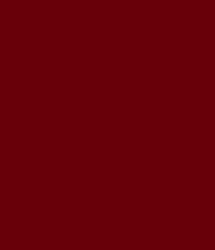 U311_A3_10DE_fur