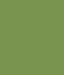 U626_A3_10DE_fur