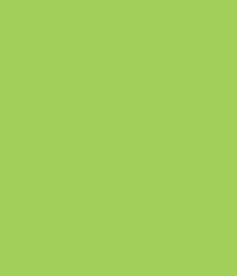 U630_A3_10DE_fur