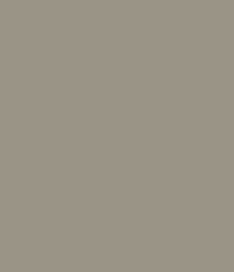 U727_A3_10DE_fur